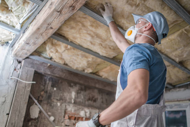 Best Wall Insulation Contractor  in Clifton Heights, PA