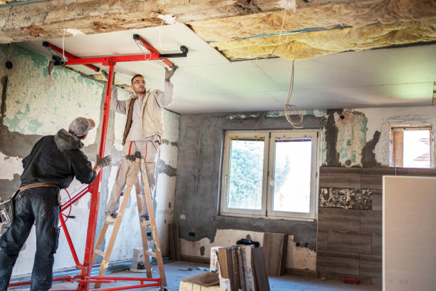 Best Home Insulation Services  in Clifton Heights, PA